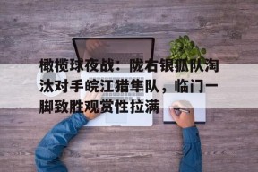 爱游戏-关于橄榄球夜战：陇右银狐队淘汰对手皖江猎隼队，临门一脚致胜观赏性拉满的信息